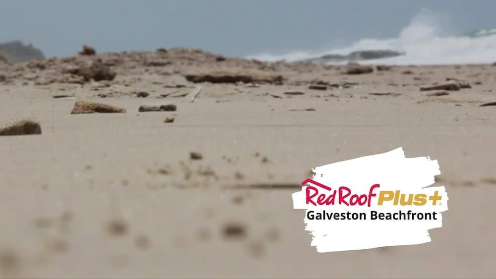 Red Roof Inn Plus + Galveston - Beachfront Exteriör bild