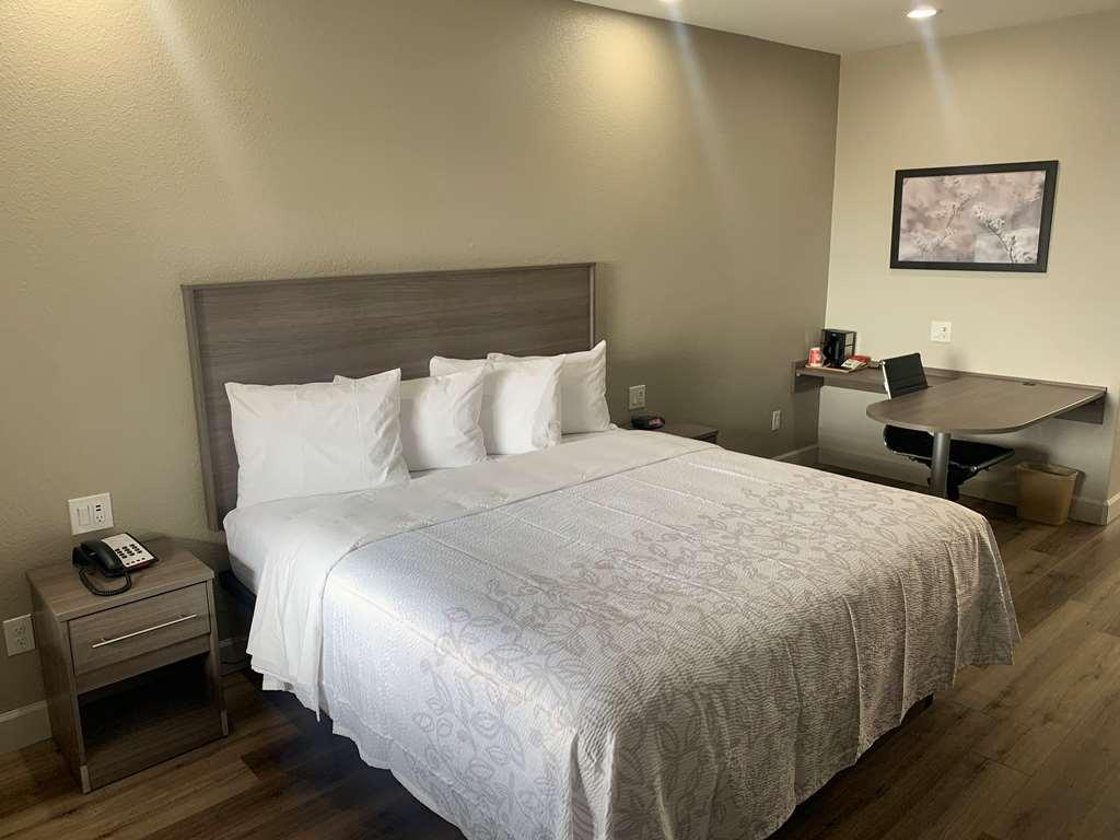 Red Roof Inn Plus + Galveston - Beachfront Rum bild